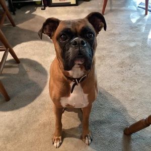 Meet your Posher, Philip